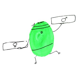 organitzacions_feminisme_ulleres_per_esquerrans 4